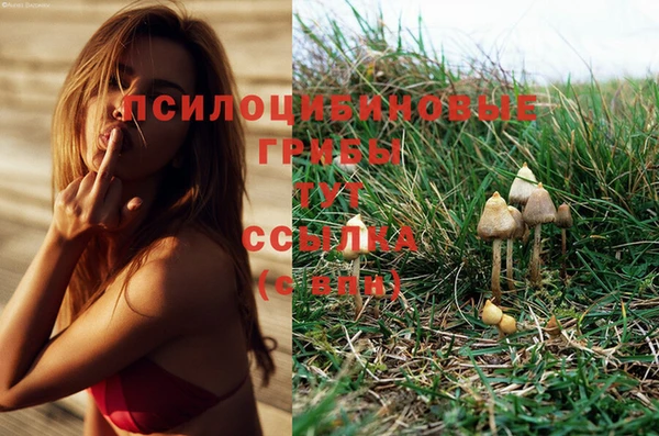 дмт Аркадак