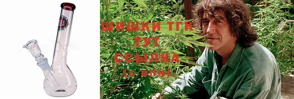 дмт Аркадак