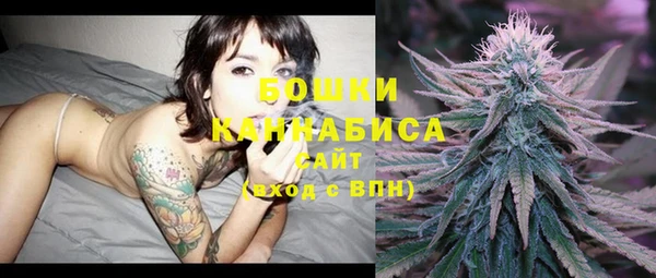 винт Майский
