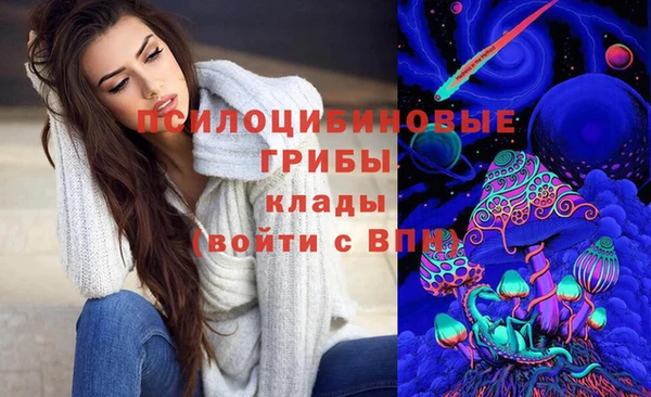дмт Аркадак