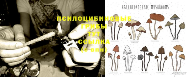 дмт Аркадак