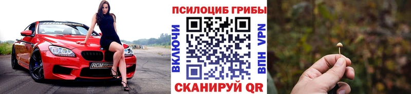 где купить наркоту  omg онион  darknet формула  Семёнов  Псилоцибиновые грибы Psilocybine cubensis 